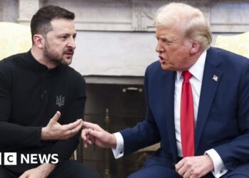 ‘No going into Nato by Ukraine,’ says Trump as Zelensky prepares for White Home talks