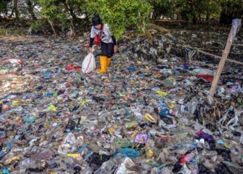 Plastics a ‘grave’ hazard to well being, scientists warn earlier than UN talks