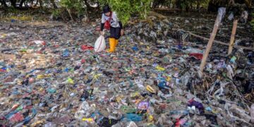 Plastics a ‘grave’ hazard to well being, scientists warn earlier than UN talks