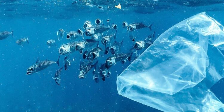 The ultimate straw? Plastic air pollution talks get underway in Geneva — World Points