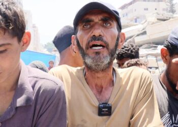 ‘Meals just isn’t sufficient’ — International Points