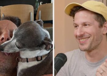 Andy Samberg’s Feud With Seth Meyers’s Canine Frisbee Defined