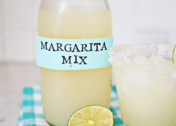 Selfmade Margarita Combine – A Lovely Mess