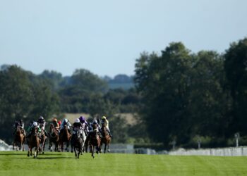Immediately on Sky Sports activities Racing: Lingfield, Ripon and Windsor | Racing Information