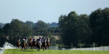 Immediately on Sky Sports activities Racing: Lingfield, Ripon and Windsor | Racing Information