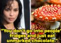 Zoe Kravitz Unintentionally Gave Individuals Hallucinogens