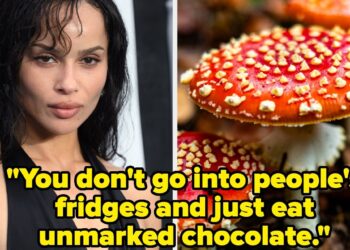 Zoe Kravitz Unintentionally Gave Individuals Hallucinogens