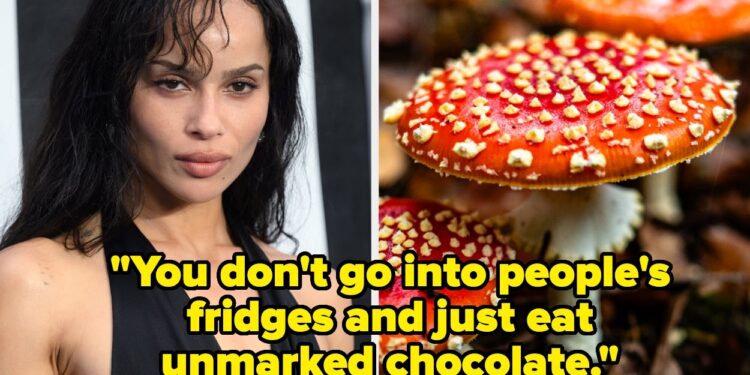 Zoe Kravitz Unintentionally Gave Individuals Hallucinogens