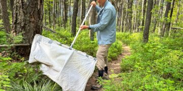 Ticks are migrating, however scant surveillance might depart docs at nighttime with regards to treating sufferers : Pictures