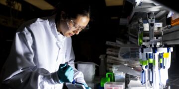 Public well being specialists dismayed by RFK Jr.’s defunding of mRNA vaccine analysis : Photographs