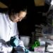 Public well being specialists dismayed by RFK Jr.’s defunding of mRNA vaccine analysis : Photographs