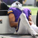 Vikings’ potential breakout star suffers ‘important’ damage