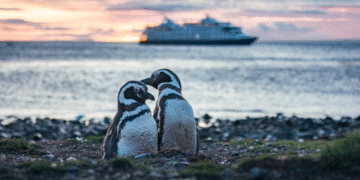 The Rise of the Cool-cation