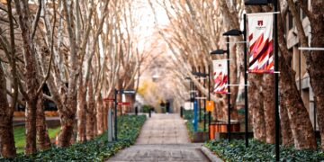 Again to Faculty: Credit score Card Rewards for College students