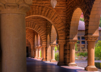 VCs are nonetheless hiring MBAs, however companies are beginning to want different expertise extra