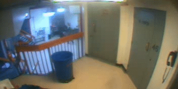 US Congress releases lacking Epstein jail footage (VIDEO) — RT World Information