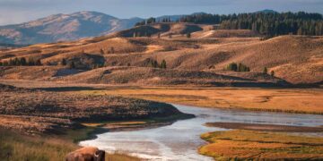 26 Greatest Nationwide Parks to Go to within the US (Our Favourites After 15 Years of Journey)