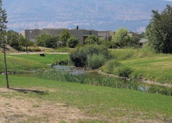 Home on Galilee kibbutz offered for NIS 5.05m