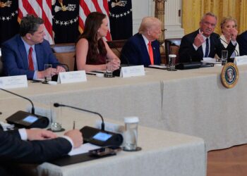 The New MAHA Report Lacks Tooth, Consultants Say