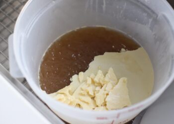 Nourishing Immediate Pot Bone Broth with Beef Knuckle