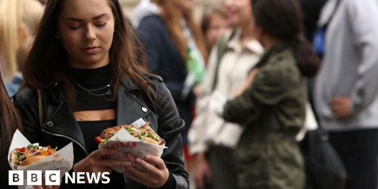Turkey abandons meals battle to pressure doner kebab guidelines on Europe