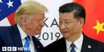 Trump and Xi talk about way forward for TikTok in US