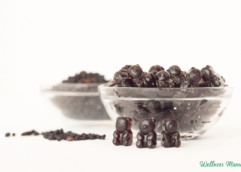 Easy methods to Make Flu-Busting Elderberry Gummies