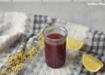 Easy Elderberry Wellness Photographs Recipe