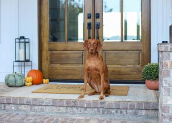 Fall Residence Decor Tour 2025