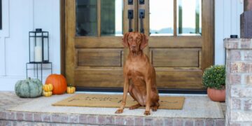 Fall Residence Decor Tour 2025