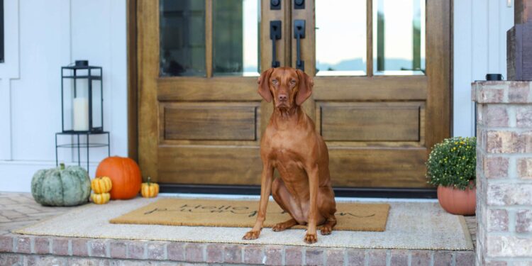 Fall Residence Decor Tour 2025