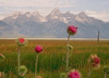 Have a Beautiful Weekend. | Cup of Jo