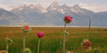 Have a Beautiful Weekend. | Cup of Jo