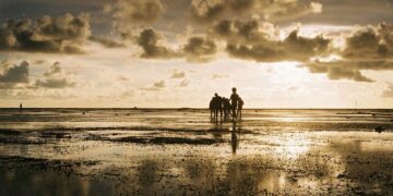 Cooling La Niña could possibly be again, however world temperatures set to rise: WMO — World Points