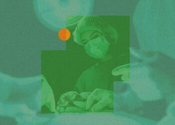 The Obtain: Longevity myths, and sewer-cleaning robots