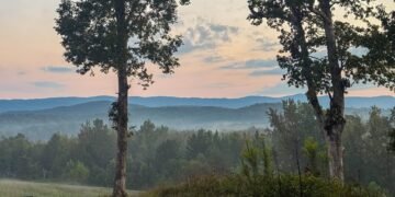 5 on Friday – A Wholesome Slice of Life