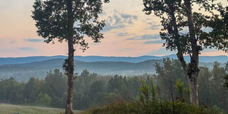 5 on Friday – A Wholesome Slice of Life