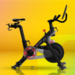 Peloton Bike or Bike Plus: We Examined Each Fashions to Assist You Resolve