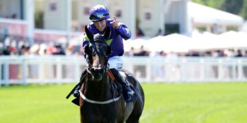St Leger Stakes: Paddy Twomey relishing underdog standing as Carmers prepares for Doncaster Basic tilt | Racing Information