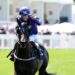St Leger Stakes: Paddy Twomey relishing underdog standing as Carmers prepares for Doncaster Basic tilt | Racing Information