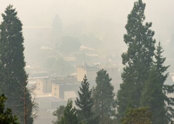 Local weather-Fueled Wildfires Are Reversing Clear Air Progress