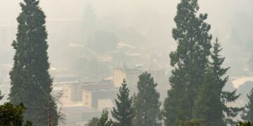 Local weather-Fueled Wildfires Are Reversing Clear Air Progress