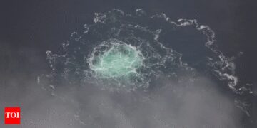 Italy high courtroom blocks Nord Stream suspect extradition | World Information