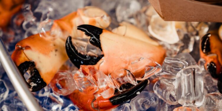 Claws Up! | Life-style Media Group