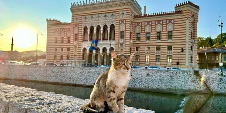 3-Day Sarajevo Itinerary: Tradition, Historical past, Nature