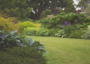 Simple Methods to Enhance the Look of Your Yard