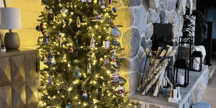 The Finest Christmas Timber to Purchase On-line