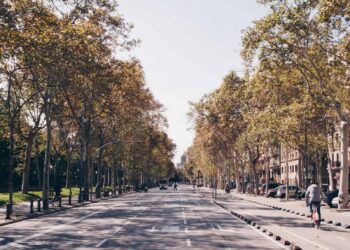 Autumn Dishes in Barcelona: 7 Should-Strive Native Favorites