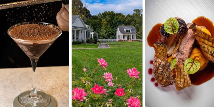 The Oaks Waterfront Lodge Assessment: Jap Shore Luxurious