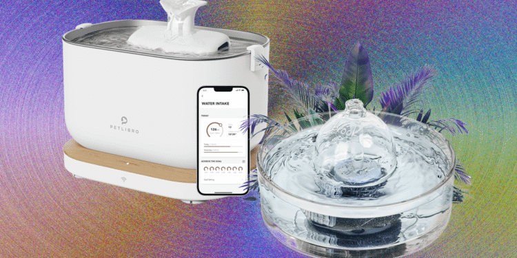 9 Finest Cat Water Fountains, WIRED Examined and Reviewed (2025)